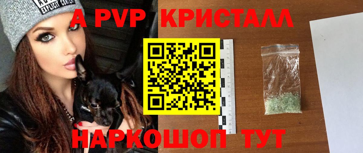 A-PVP СК КРИС Коряжма