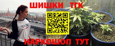 прущие крисы Заводоуковск