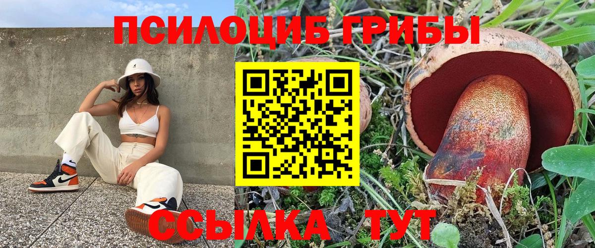 Галлюциногенные грибы прущие грибы Коряжма