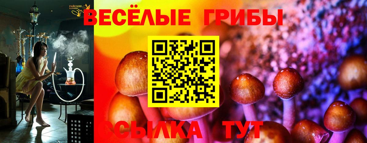 Коряжма  Галлюциногенные грибы Psilocybine cubensis  Вход с VPN  Галлюциногенные грибы Psilocybe 